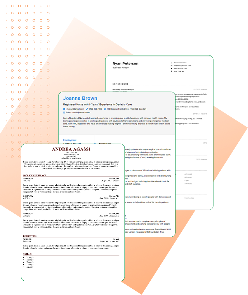 CV Templates Desktop Preview